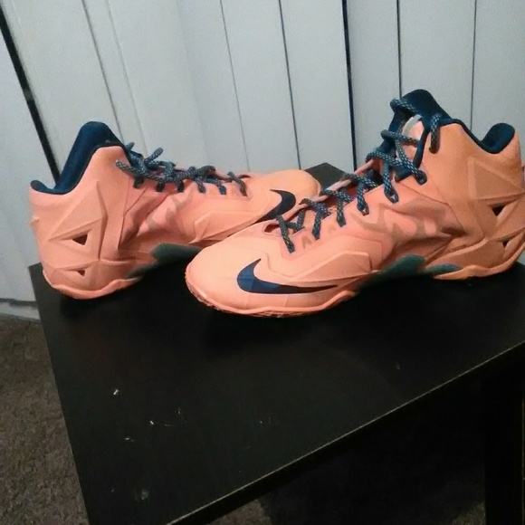 Lebrons - Picture 5 of 6